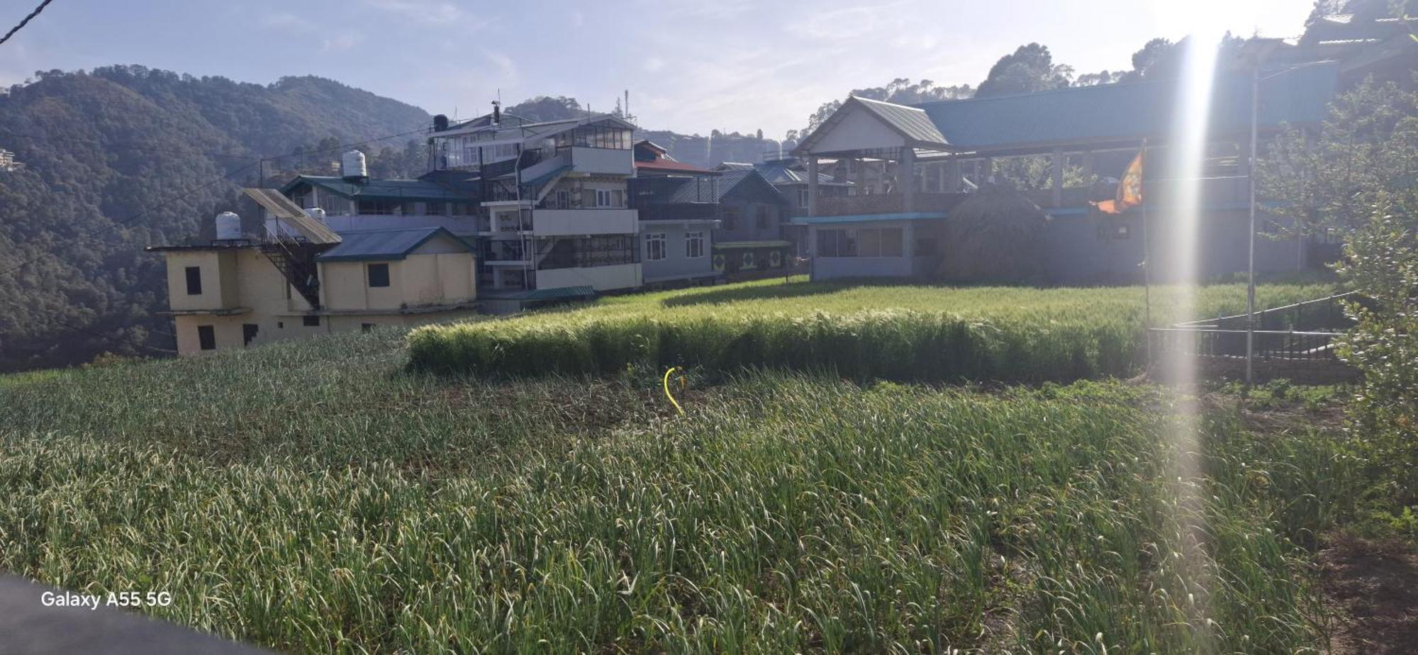 Keshav Niwas Apartment Shimla